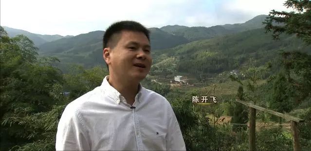 致富经养羊_2020致富经养羊视频_林下养羊致富经