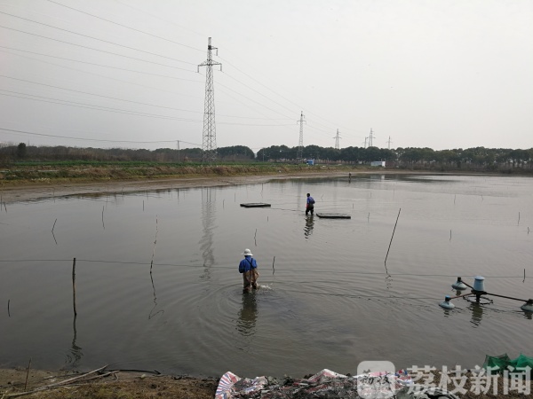 野外养殖致富吗_致富野外养殖视频_致富野外养殖视频大全