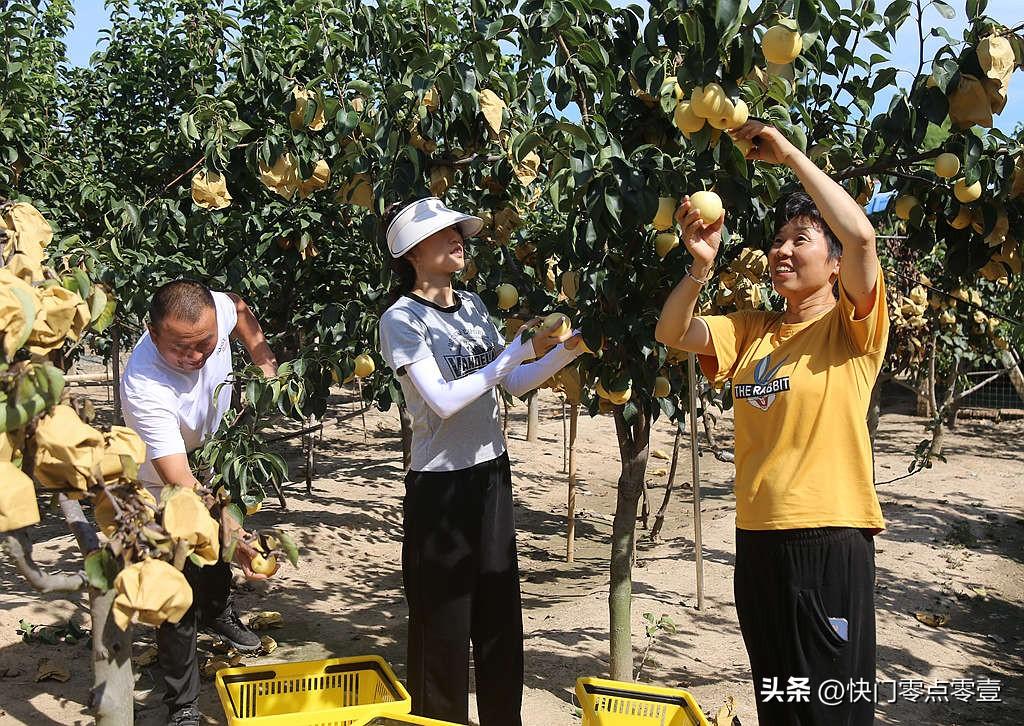 河南驻马店：农民老舒的智慧“致富经”