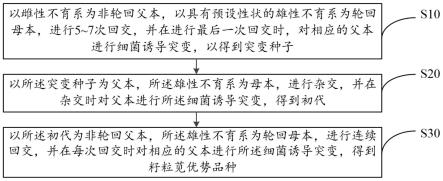 籽粒苋的育种方法与流程