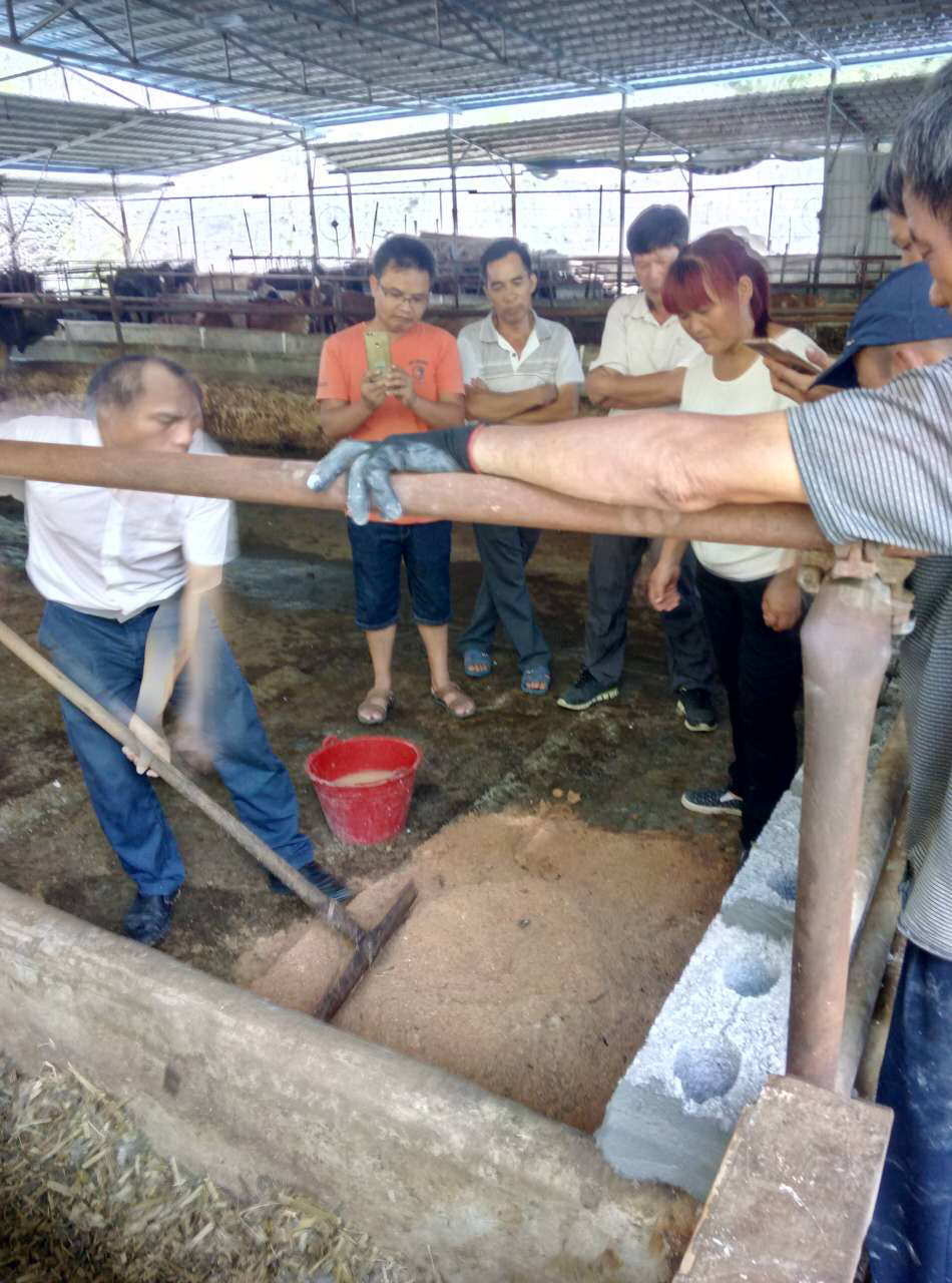 养殖发酵床制作方法_发酵床生态养殖_养殖发酵床技术视频