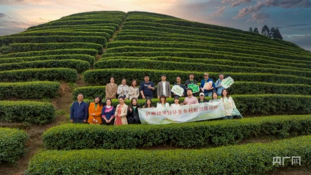 致富茶叶种植方法_茶叶怎么种植致富_种植茶叶赚钱吗