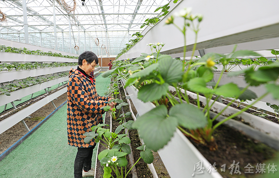 科技苑麂子养殖视频_麂子养殖_麂子养殖技术致富经