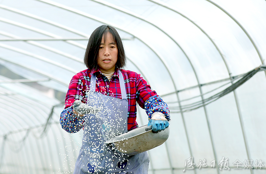 麂子养殖_科技苑麂子养殖视频_麂子养殖技术致富经