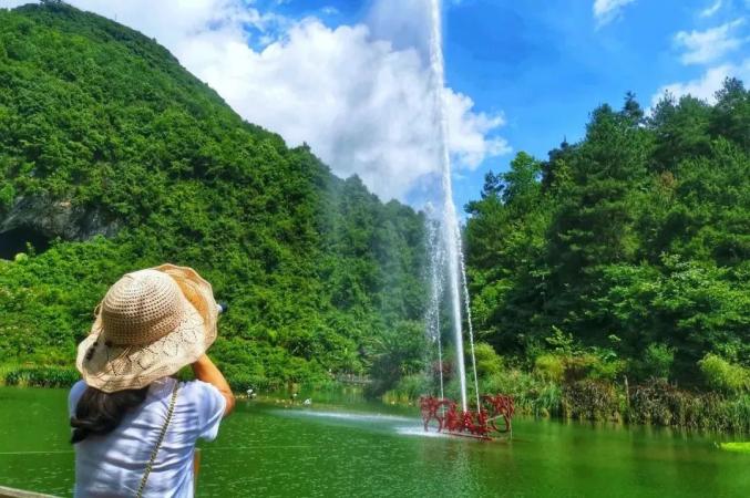 贵州凤冈锌硒茶_贵州凤冈仙人岭锌硒茶_贵州凤冈致富经