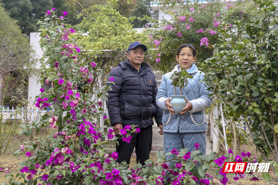 养樊鲈鱼视频致富经_致富经鲈鱼养殖技术_生财有道鲈鱼养殖视频