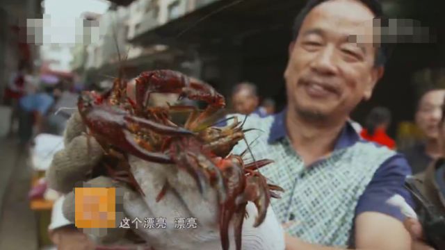 致富经农业养殖龙虾_致富经龙虾养殖视频稻田_致富经小龙虾养殖