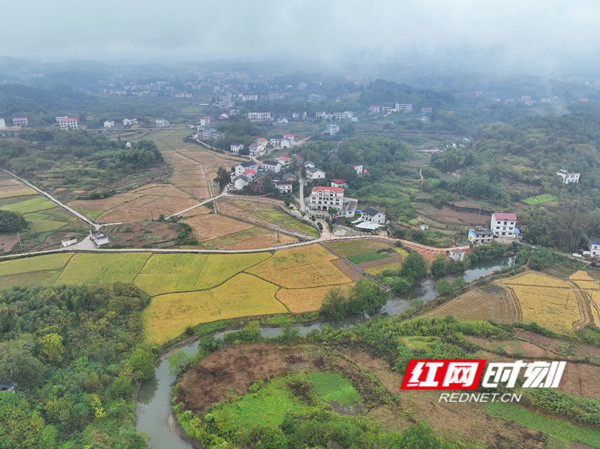 养鱼视频致富经_养樊鲈鱼视频致富经_养殖鲈鱼赚钱吗