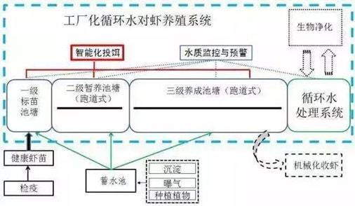 南美对虾的养殖技术_南美对虾养殖设备_南美对虾养殖和对水质的要求