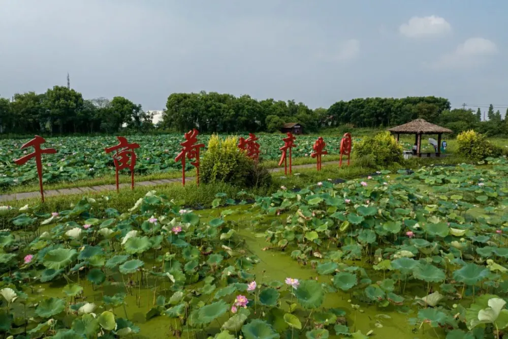 致富养殖水产项目介绍_水产养殖业致富项目_养殖水产致富项目