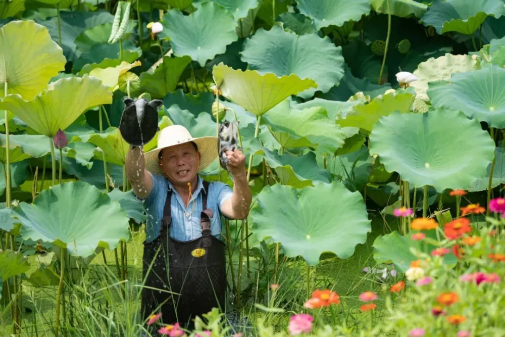 养殖水产致富项目_致富养殖水产项目介绍_水产养殖业致富项目