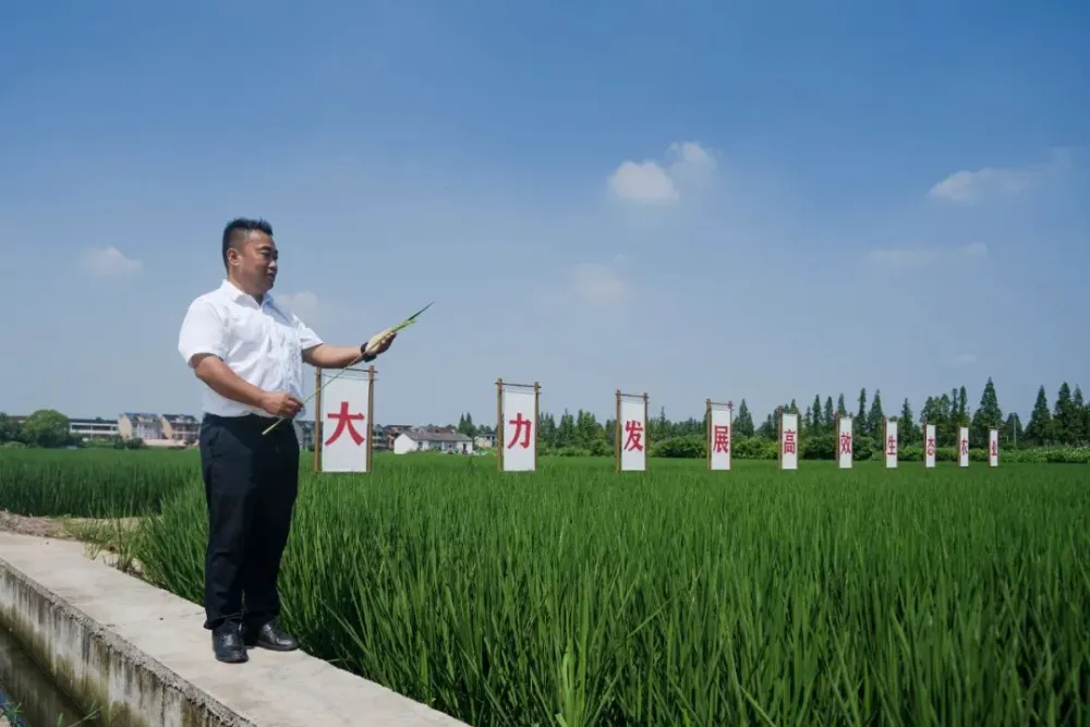 养殖水产致富项目_致富养殖水产项目介绍_水产养殖业致富项目