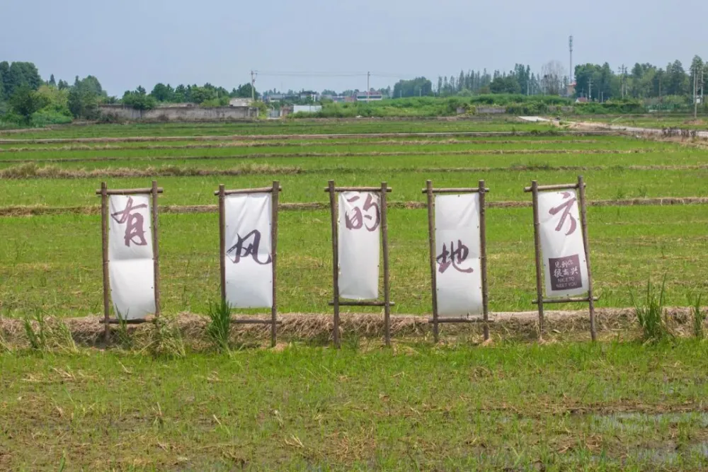 养殖水产致富项目_水产养殖业致富项目_致富养殖水产项目介绍