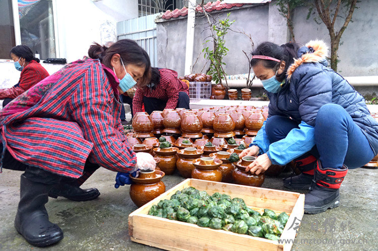 小豆腐种植致富_致富经所有关豆腐的致富经_豆腐产业致富案例