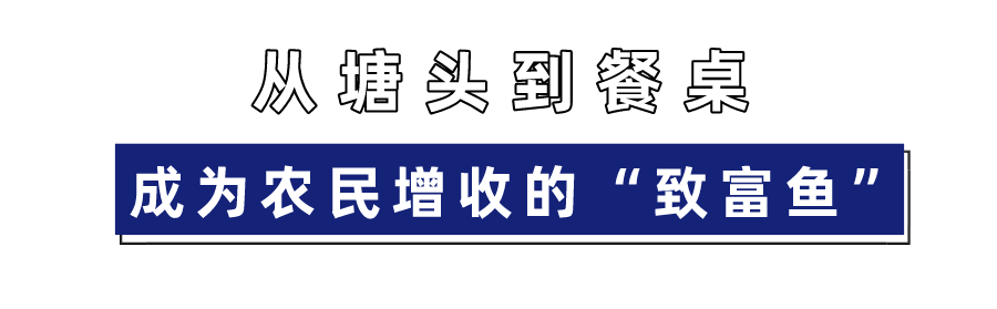 养殖致富项目视频_农林养殖致富视频_致富养殖业