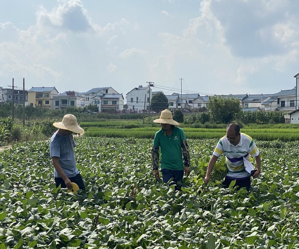 优质粮食工程经验交流材料_优质粮食工程典型经验交流_粮食工作交流材料