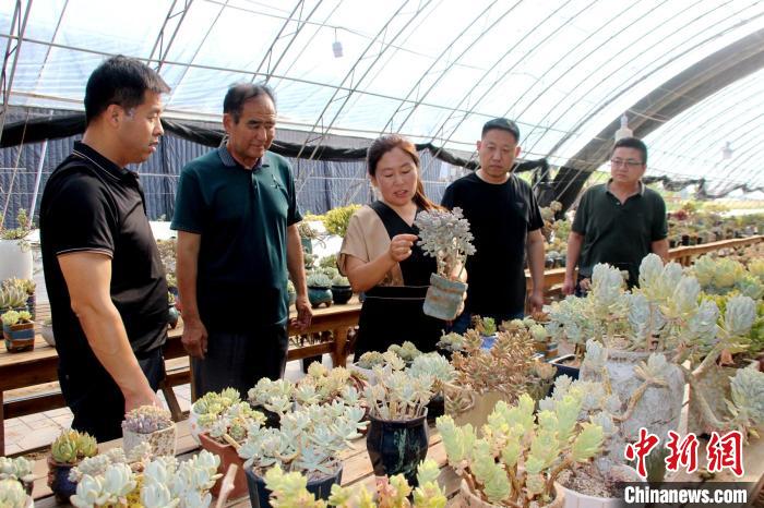 郭雪苹讲解多肉的特点和生长习性。　周永 摄