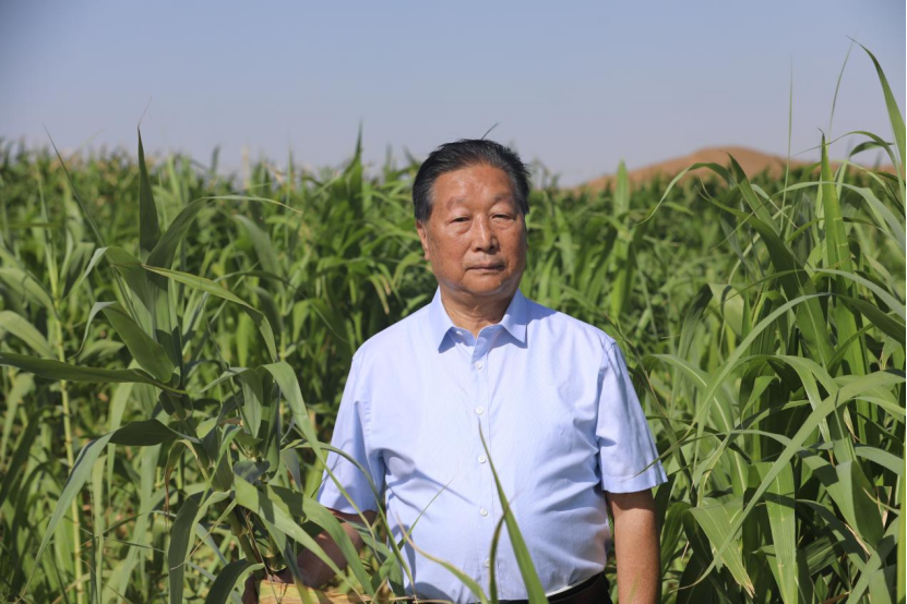 △林占熺在内蒙古阿拉善菌草治理流动沙地示范基地