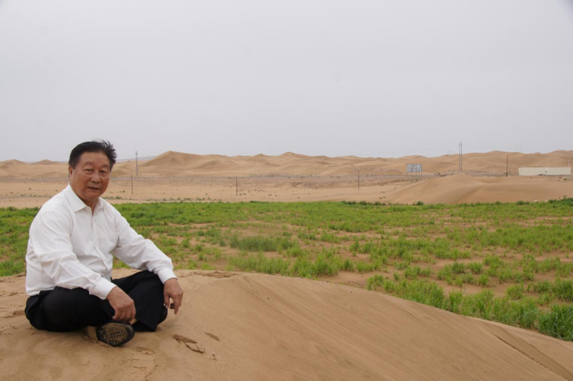 △林占熺在内蒙古阿拉善菌草治沙基地