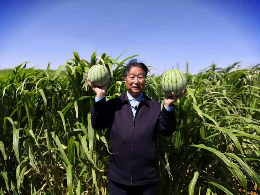 △林占熺在内蒙古阿拉善菌草治沙基地察看农作物生长情况