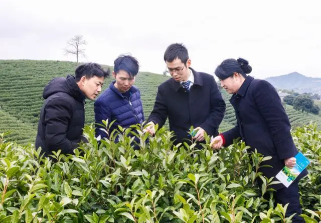 普惠金融的绿色引领！浙江农信支持绿色产业助力经济社会生态协调发展