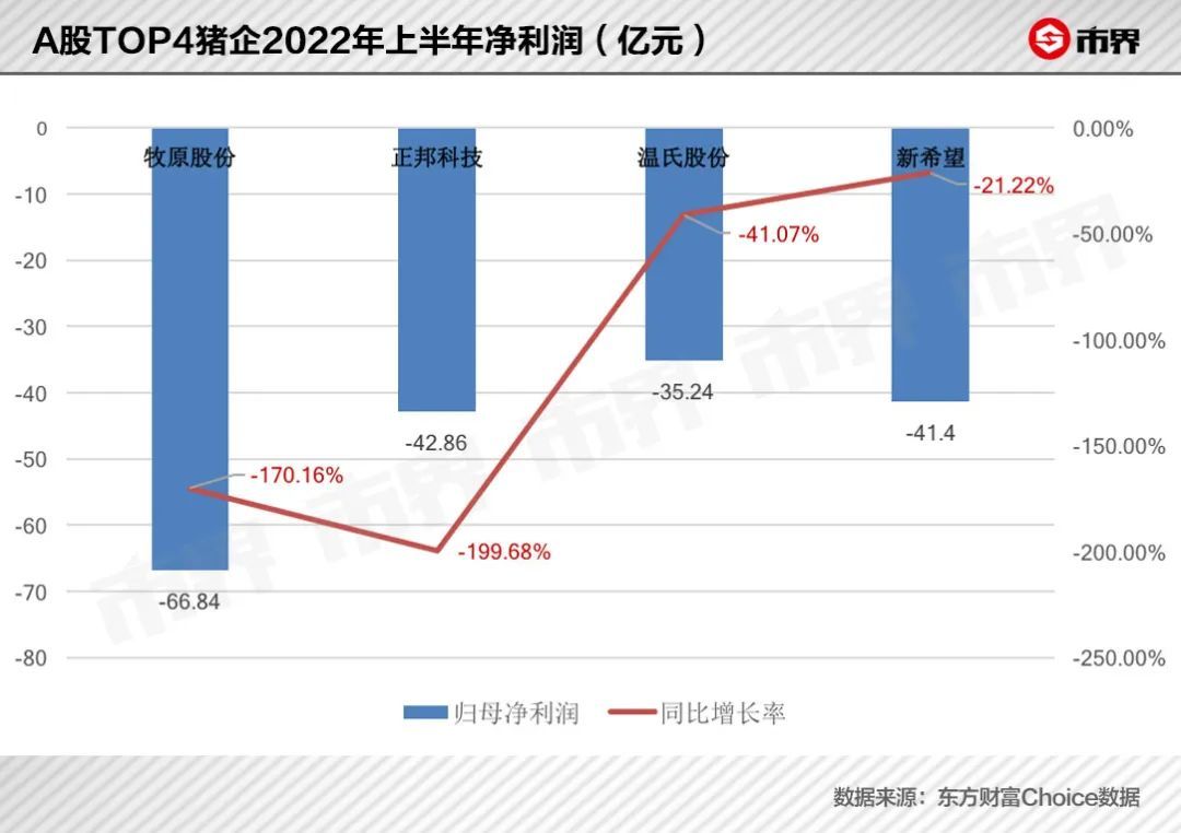 超级猪养殖致富_致富养猪网_致富经生态养殖猪视频