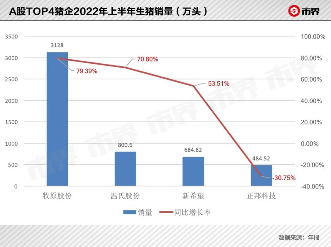 超级猪养殖致富_致富经生态养殖猪视频_致富养猪网