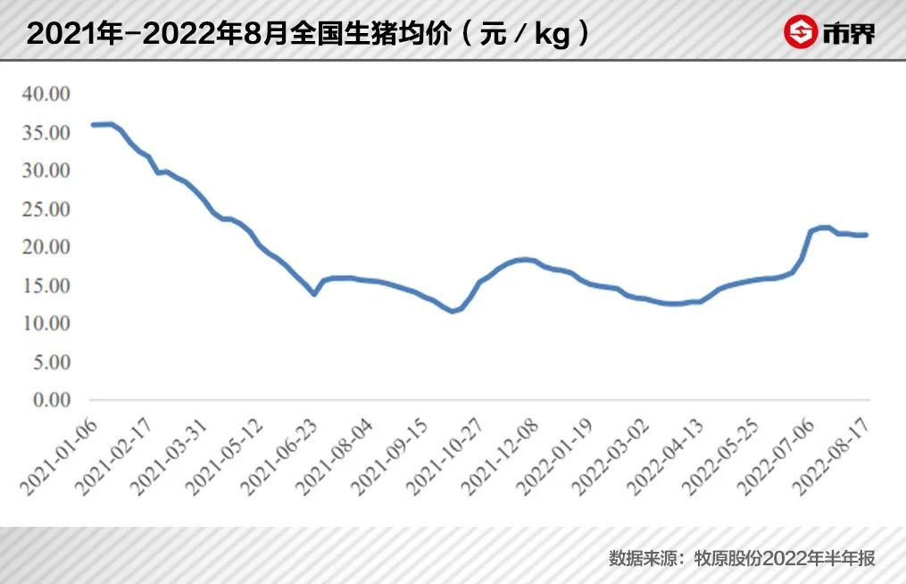 致富经生态养殖猪视频_致富养猪网_超级猪养殖致富