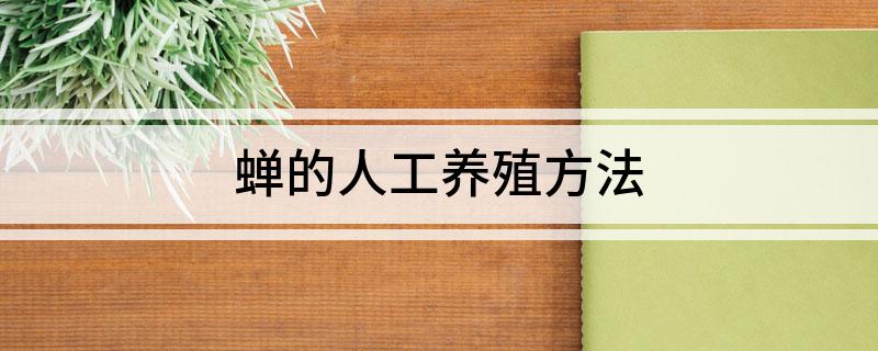 蝉虫养殖技术要点_蝉虫养殖技术视频_蝉虫的养殖技术