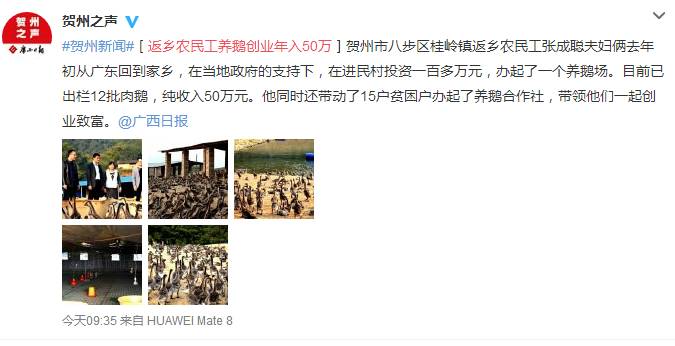 致富养殖南充项目招标_南充养殖业_南充养殖致富项目