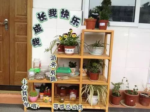 种植致富业_致富种植绿植_致富种植什么比较赚大钱