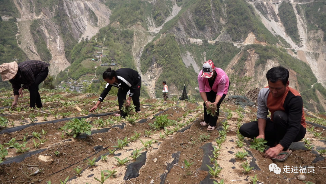 致富养殖网_种植养殖致富之路_致富经养殖业