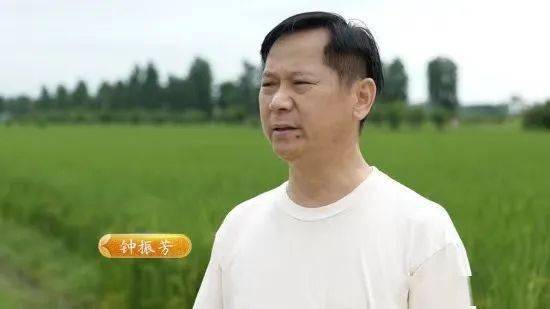 看似简单的“稻田综合种养”，到底怎么找到赚大钱的门道？