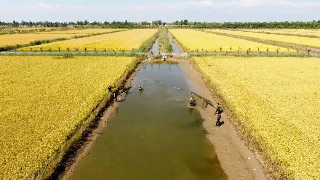 致富养殖什么最赚钱_养殖致富经_种植养殖致富之路