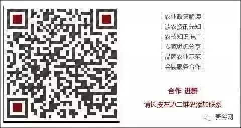 四川南充养殖业什么最赚钱农村_南充养殖致富项目_致富养殖南充项目有哪些