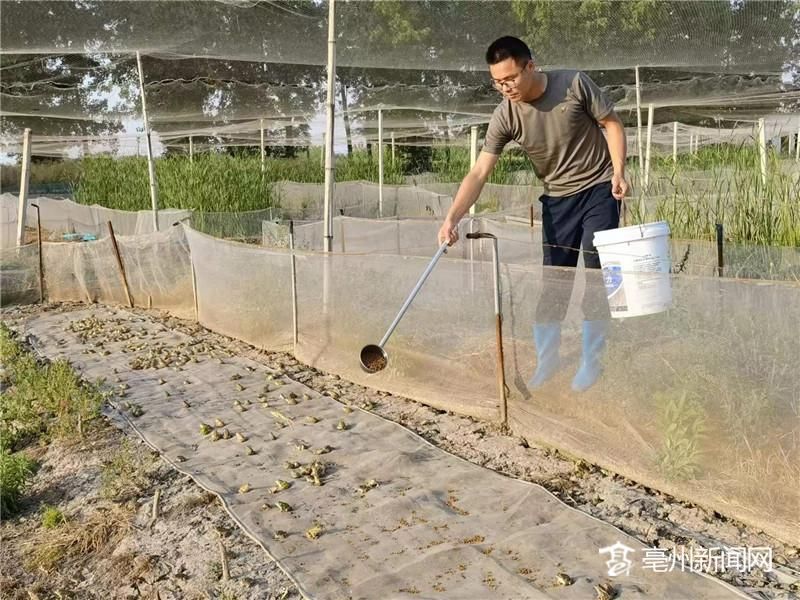 养殖致富经_养殖致富路有哪些项目_致富之路养殖基地