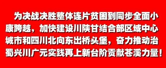 苍溪：林中“掘金”拓宽群众致富路