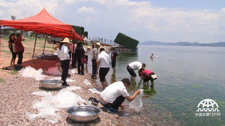 致富经 百万鱼苗_最新致富经养鱼_致富经养殖鱼视频