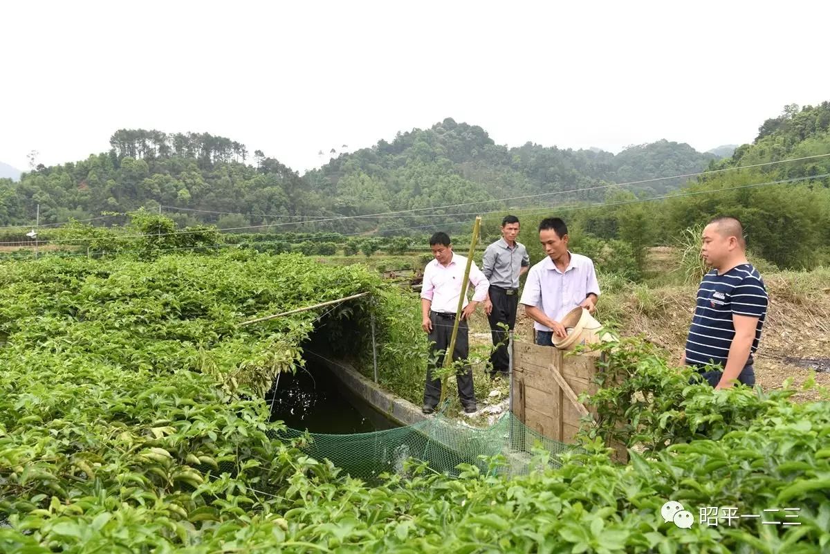 旱地养殖什么好_致富养殖旱地有补贴吗_旱地养殖致富