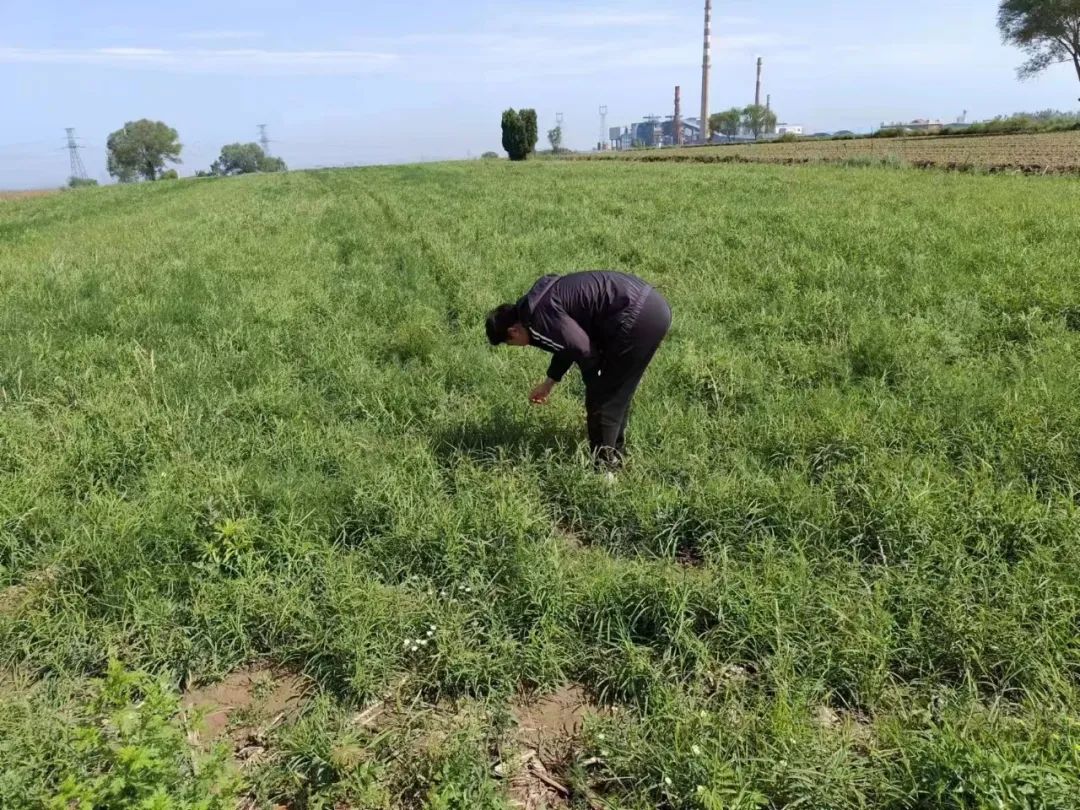 致富养殖旱地赚钱吗_旱地养殖致富_致富养殖旱地有补贴吗