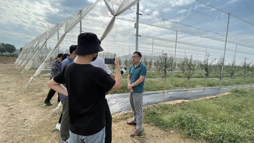 早熟苹果种植致富_致富种植早熟苹果图片_早熟苹果树新品种