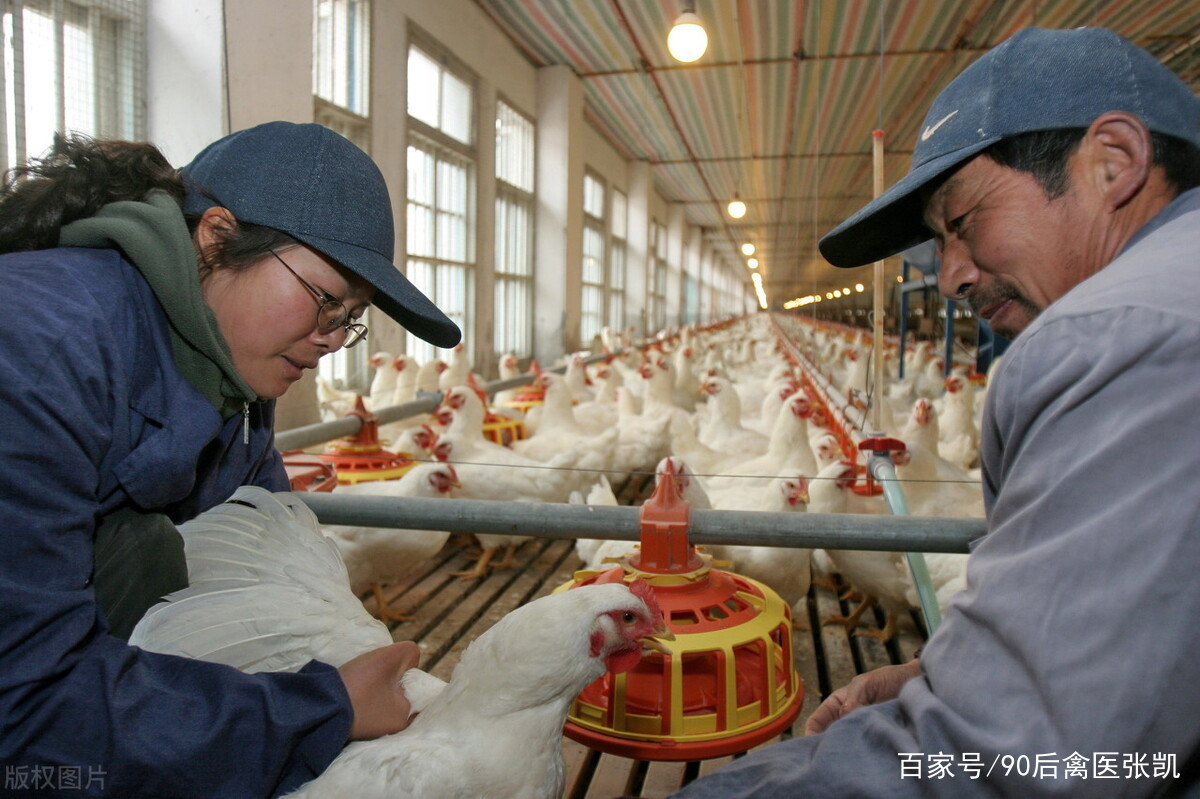 鲫鱼养殖成本利润计算_养殖鲫鱼利润技术有哪些_鲫鱼养殖技术与利润