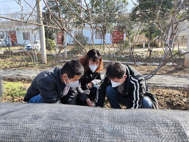 宝鸡药材种植_宝鸡能种植什么名贵药材_宝鸡苗木种植致富