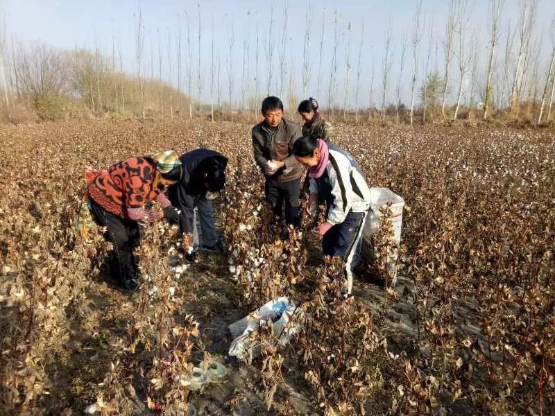 农民种地致富_农民种植致富方面_农民致富种植项目