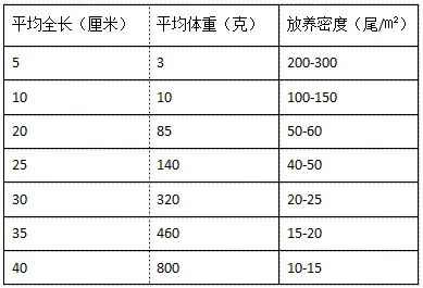 养殖水产黑鱼_循环水高密度养殖黑鱼_黑鱼循环水养殖技术