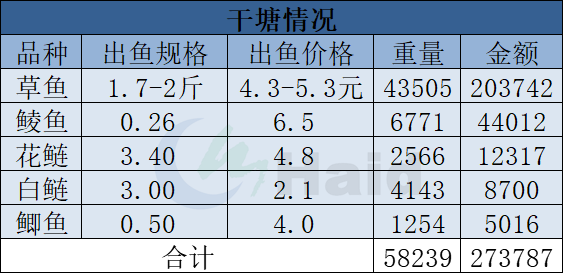 致富养殖草鱼图片_致富草鱼养殖_草鱼养殖至富人