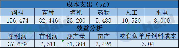 致富草鱼养殖_草鱼养殖至富人_致富养殖草鱼图片