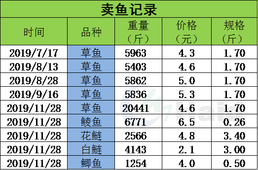 致富草鱼养殖_草鱼养殖至富人_致富养殖草鱼图片