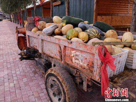 山东农民王永宝和他的乡村旅游创业之梦(组图)