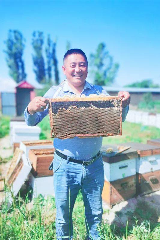 正红菇种植技术_红菇种植方法_红菇种植技术视频